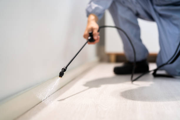 Rodent Entry Point Assessment in Fort Lee
