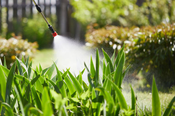 Tamper-Resistant Bait Stations for Rodents in Fort Lee