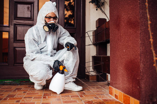 Attic and Crawl Space Rodent Treatment in Fort Lee