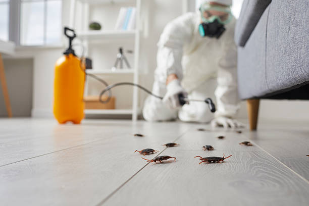 Commercial Rodent Management in Fort Lee
